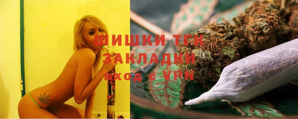 ГАЛЛЮЦИНОГЕННЫЕ ГРИБЫ Алзамай