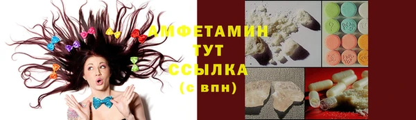 ГАЛЛЮЦИНОГЕННЫЕ ГРИБЫ Алзамай