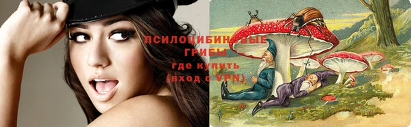ГАЛЛЮЦИНОГЕННЫЕ ГРИБЫ Алзамай