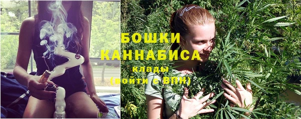 трава Слюдянка