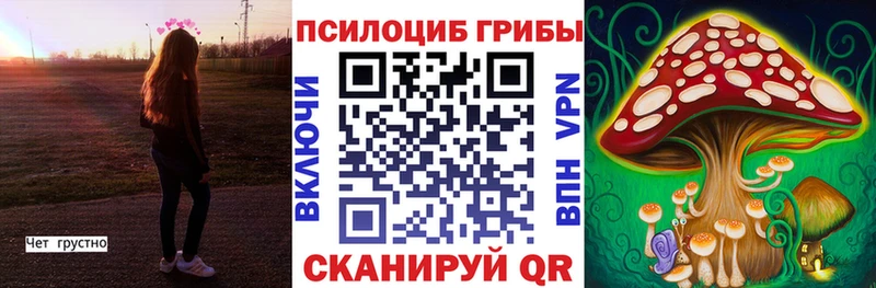 цена площадка телеграм Псилоцибиновые грибы Cubensis Долинск